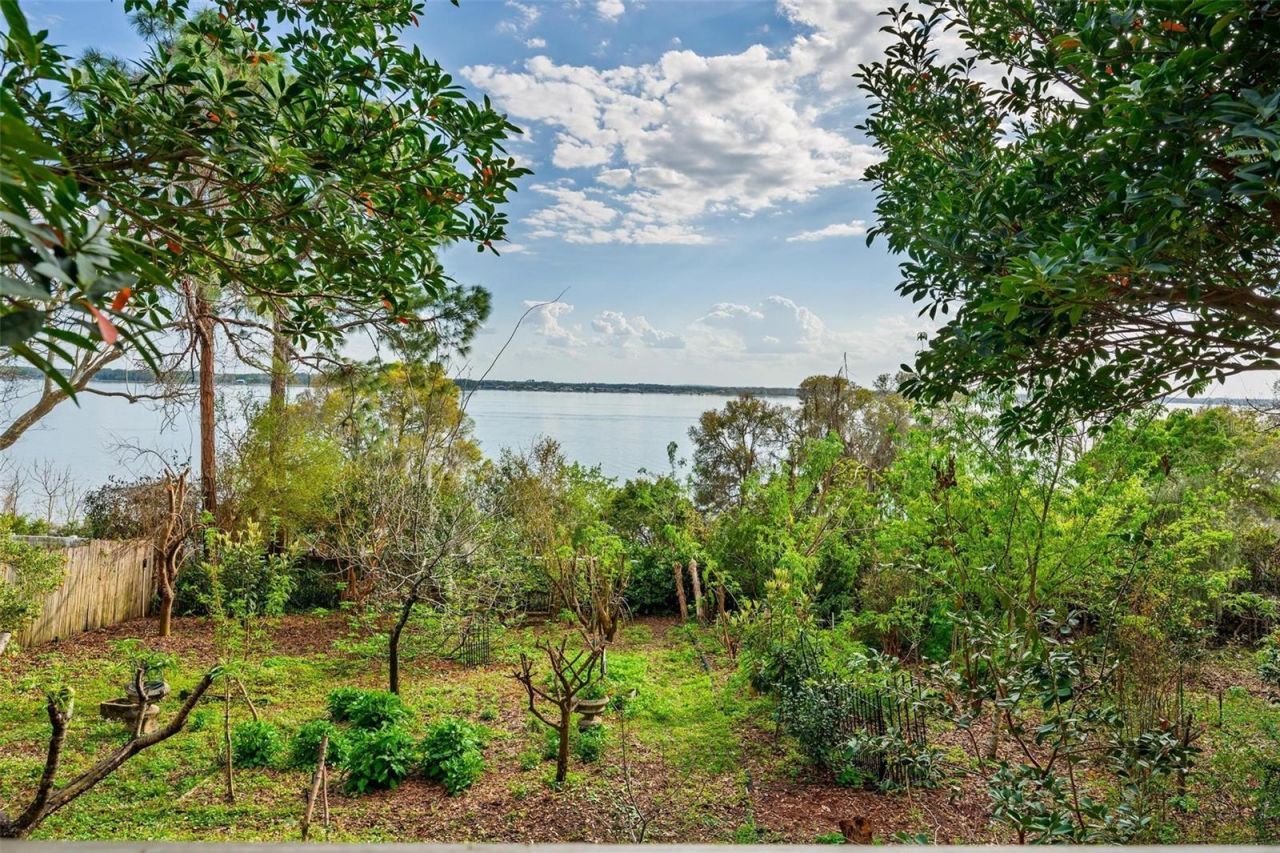 976 Fairview Avenue, Mount Dora, FL 32757 Photo