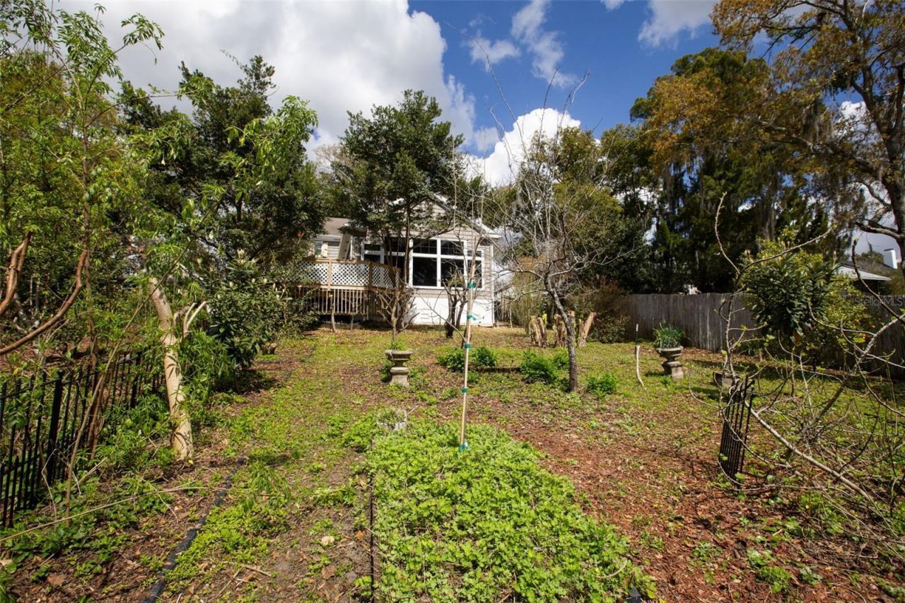 976 Fairview Avenue, Mount Dora, FL 32757 Photo