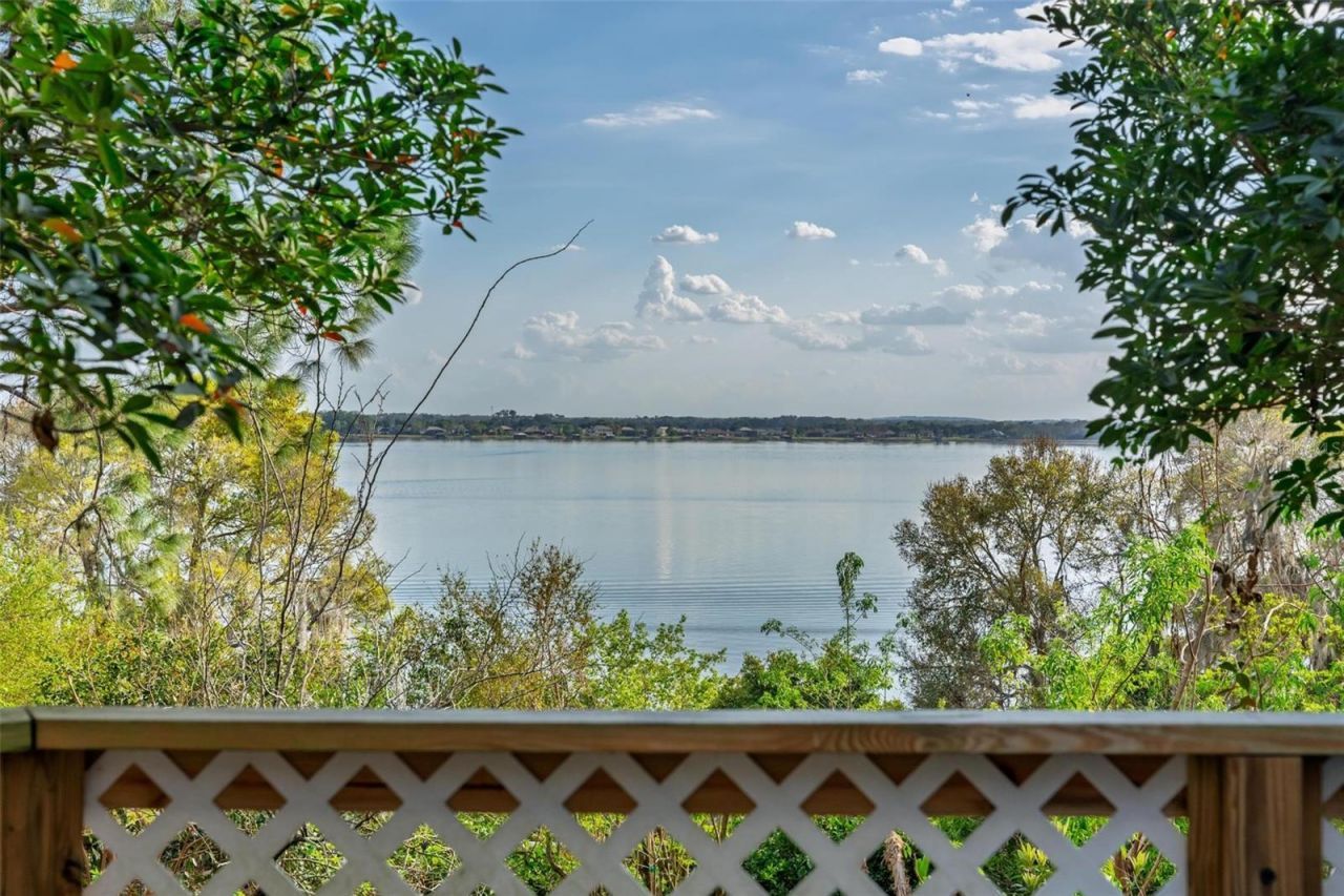 976 Fairview Avenue, Mount Dora, FL 32757 Photo