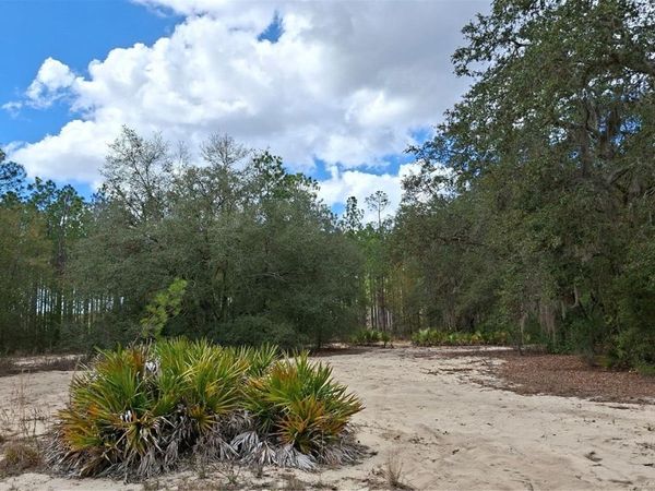 FISHER WAY, OCKLAWAHA, FL 32179