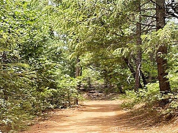 15052 Red Hill Spring Road, Nevada City, CA 95959