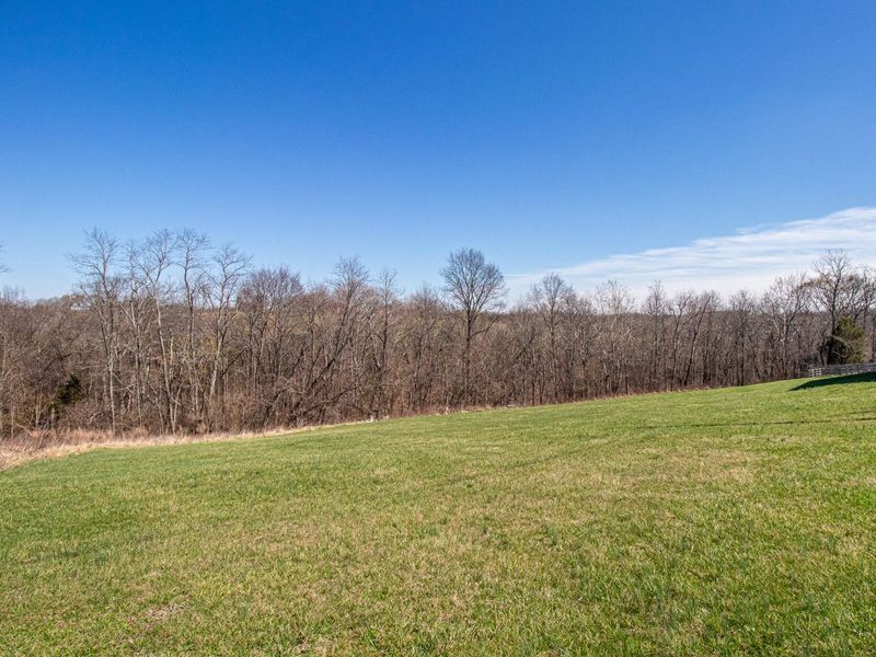 59 Deer Creek Drive, Williamstown, KY 41097 Photo 27