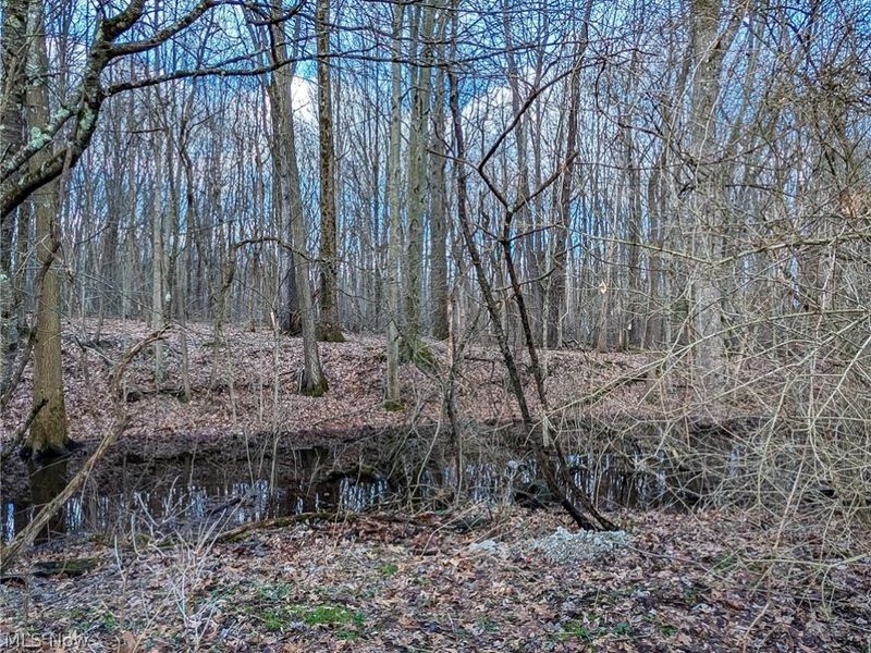 524 Ohio Avenue, Ravenna, OH 44266 Photo 21