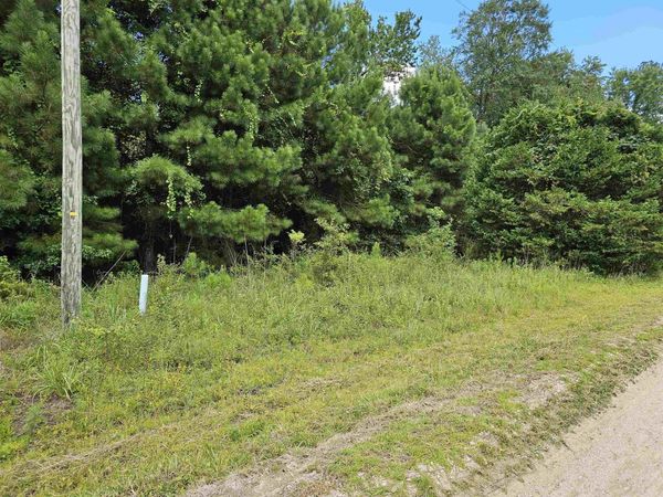 TBD Lot 8 Powell Lane, Loris, SC 29569