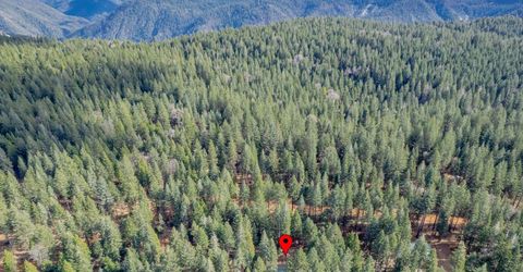 1212 Moody Ridge Rd, Alta, CA 95701 Photo