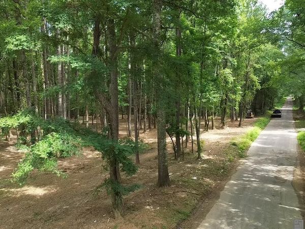 Tract X-1 Scott Barr Rd, Slaughter, LA 70777