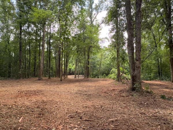 Tract X-1 Scott Barr Rd, Slaughter, LA 70777
