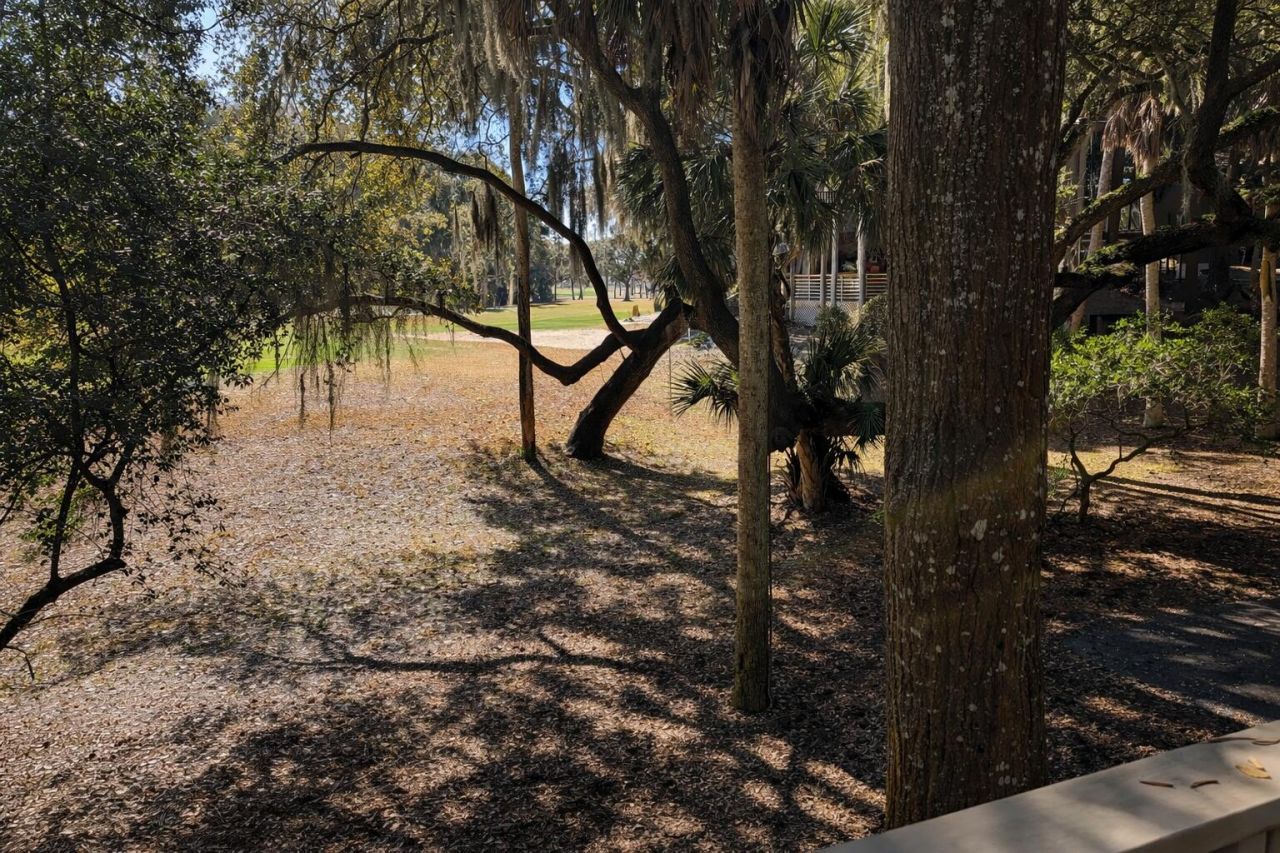 3 Dunecrest Villa Trace Trail Photo 20