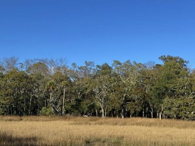 8785 Palmetto Road, Edisto Island, SC 29438