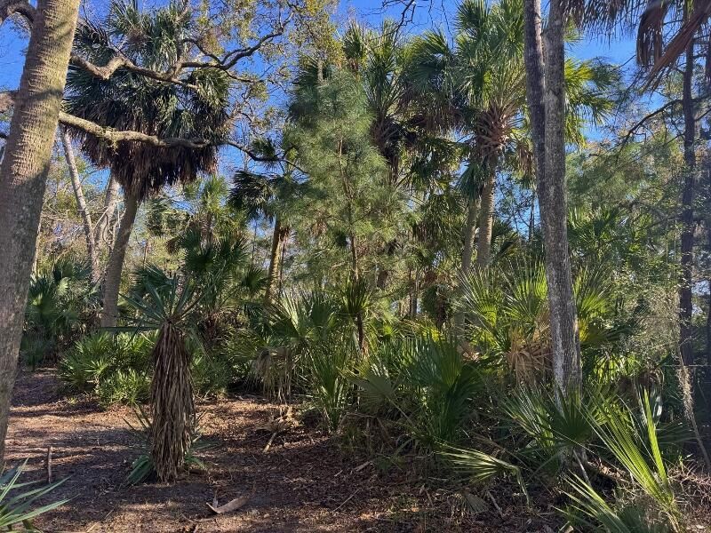 8785 Palmetto Road Photo 2