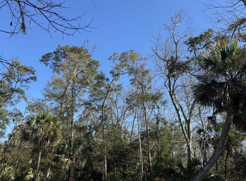 8785 Palmetto Road Photo 3