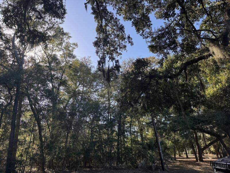 8785 Palmetto Road Photo 5