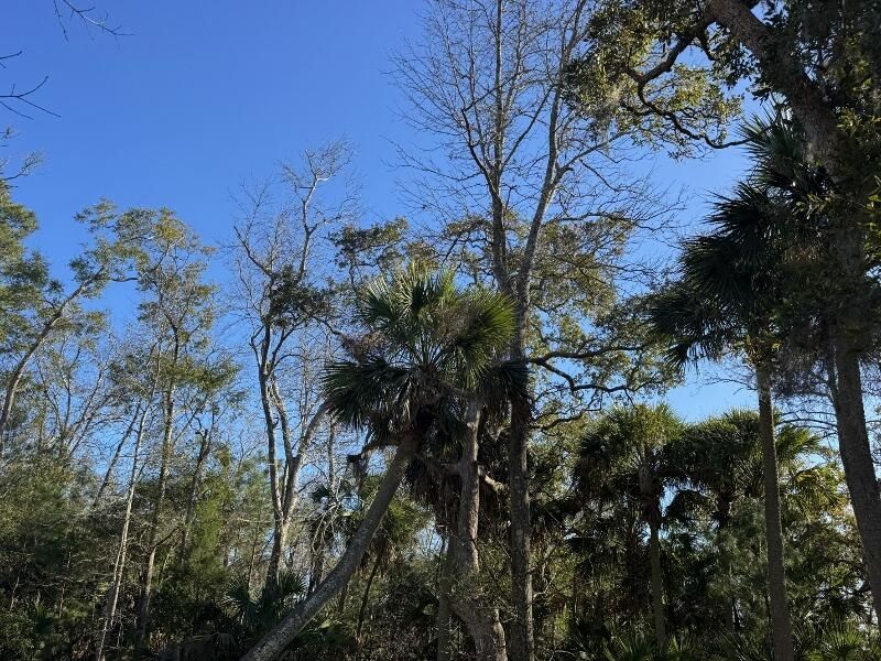 8785 Palmetto Road Photo 6