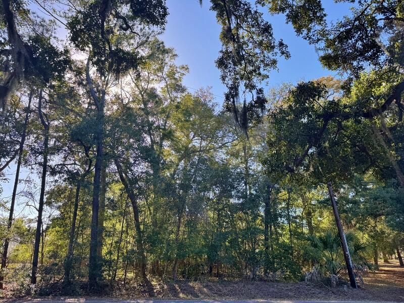 8785 Palmetto Road Photo 7