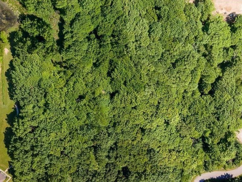 29 Colony Drive, Alliance, OH 44601 Photo 7