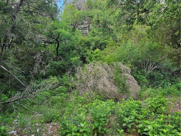 0 Happy Hollow , New Braunfels, TX 78132