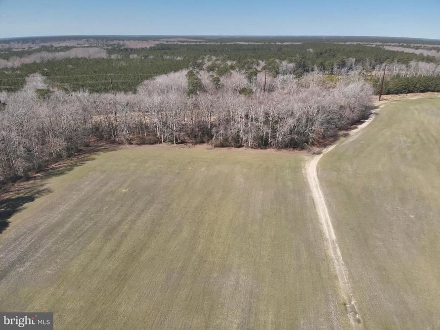 Rt 12, Snow Hill, MD 21863 Main Photo