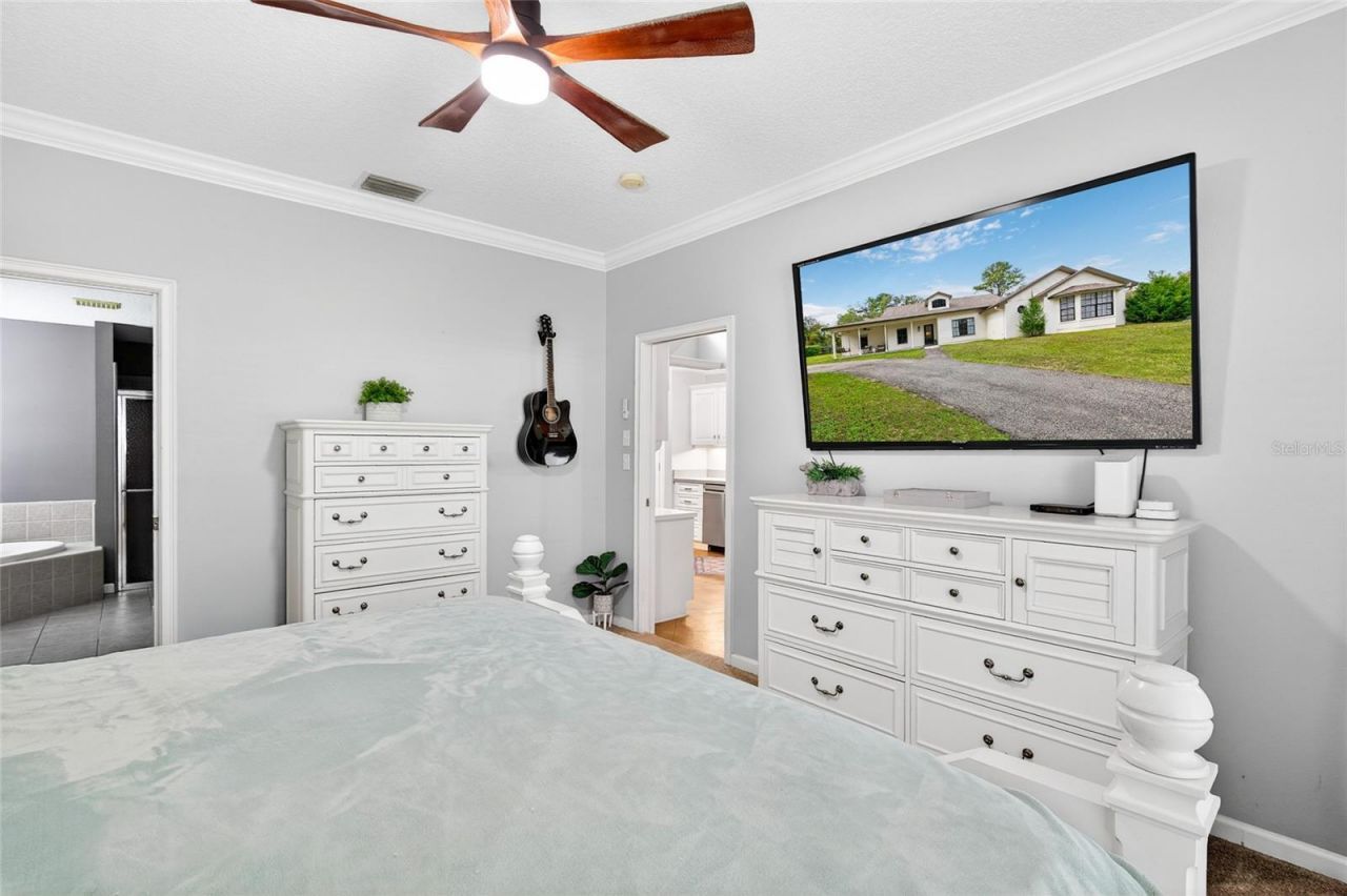 22301 Coronado Somerset Drive, Sorrento, FL 32776 Photo