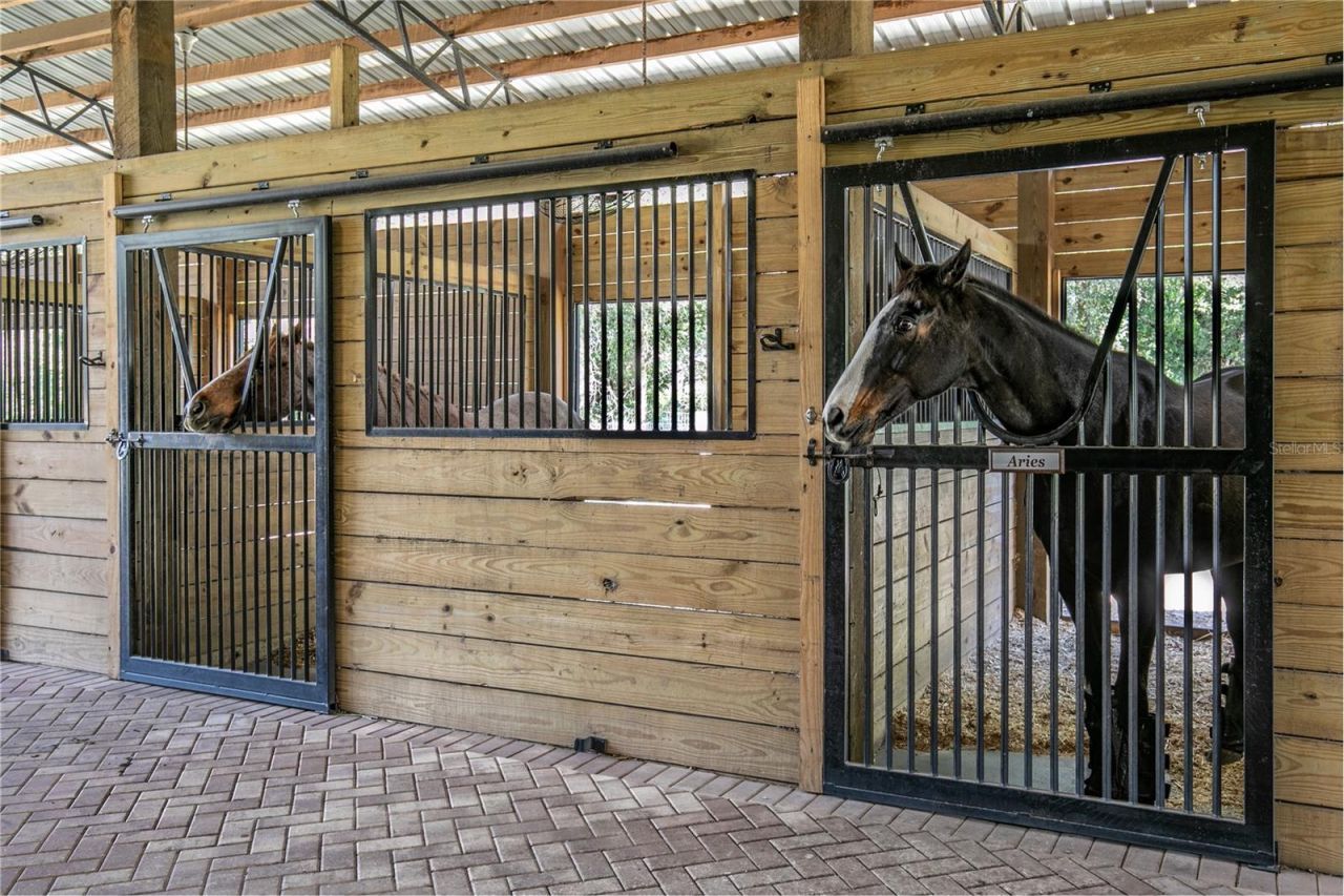 22301 Coronado Somerset Drive, Sorrento, FL 32776 Photo