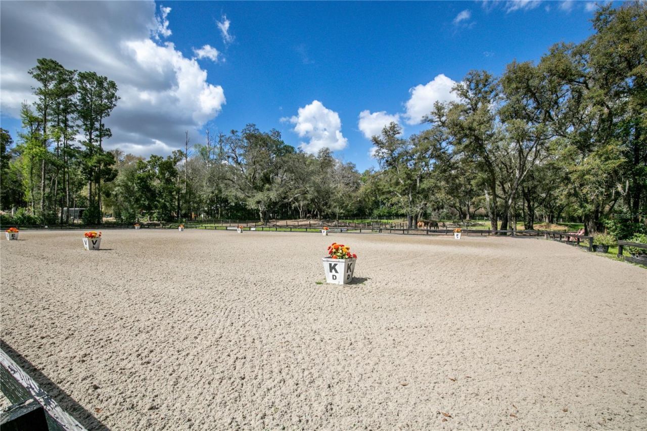 22301 Coronado Somerset Drive, Sorrento, FL 32776 Photo