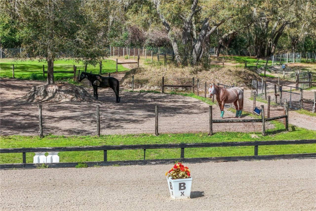 22301 Coronado Somerset Drive, Sorrento, FL 32776 Photo