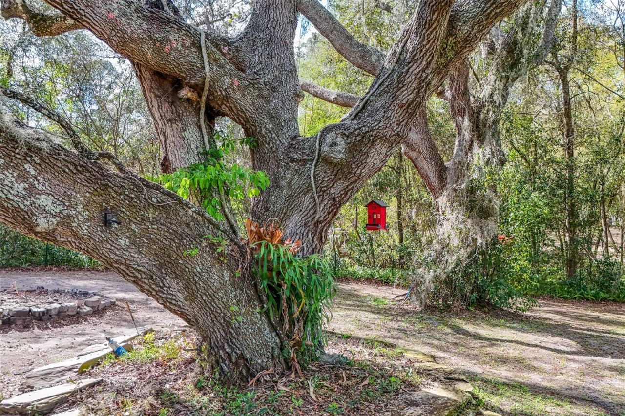 22301 Coronado Somerset Drive, Sorrento, FL 32776 Photo