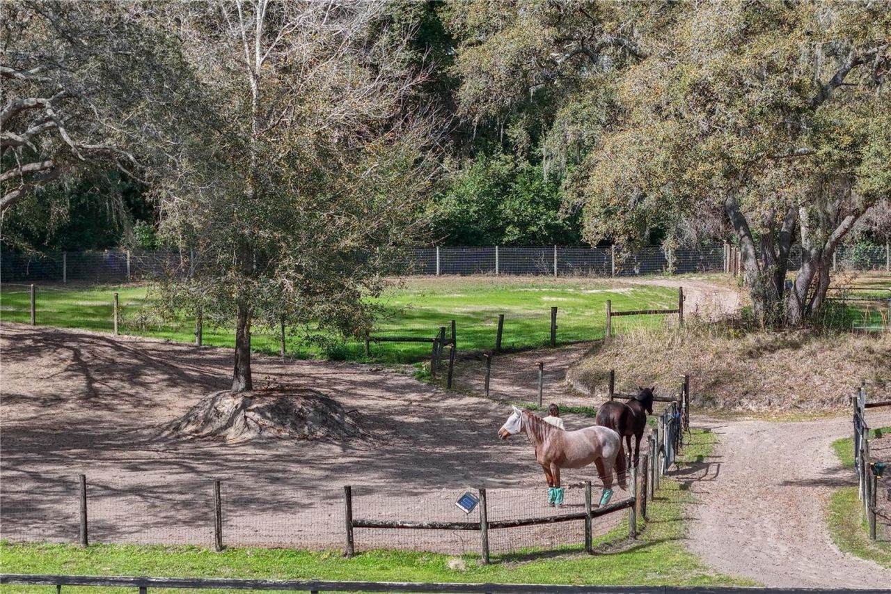 22301 Coronado Somerset Drive, Sorrento, FL 32776 Photo