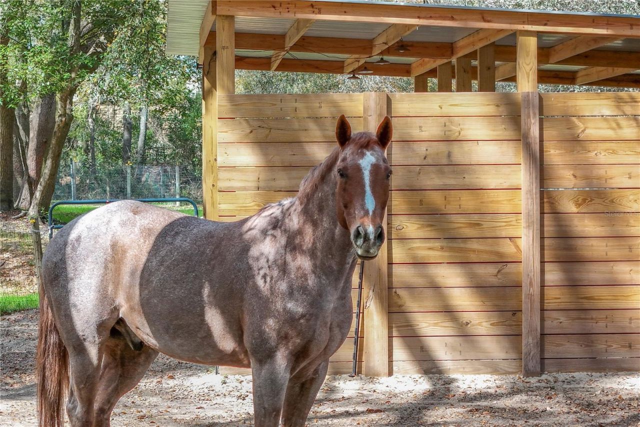 22301 Coronado Somerset Drive, Sorrento, FL 32776 Photo