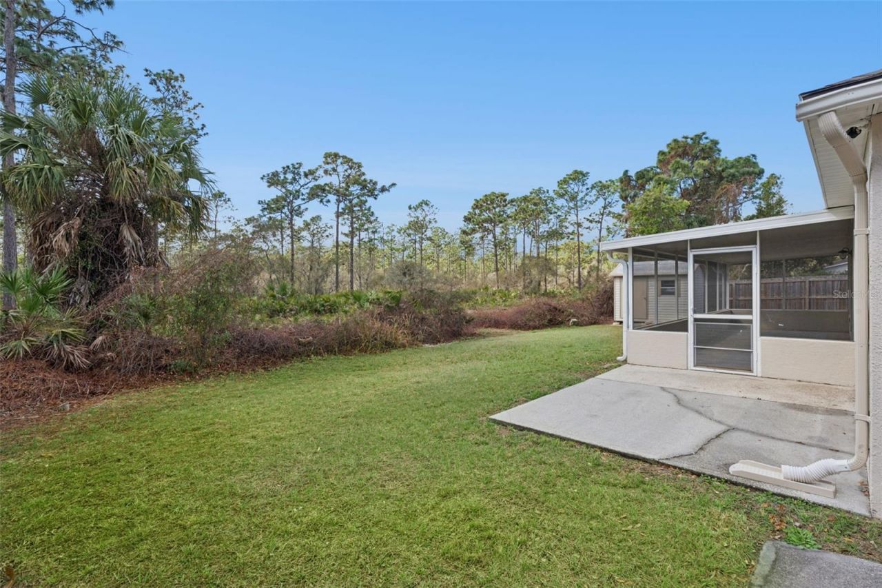 13808 Riverpath Grove Drive, Orlando, FL 32826 Photo