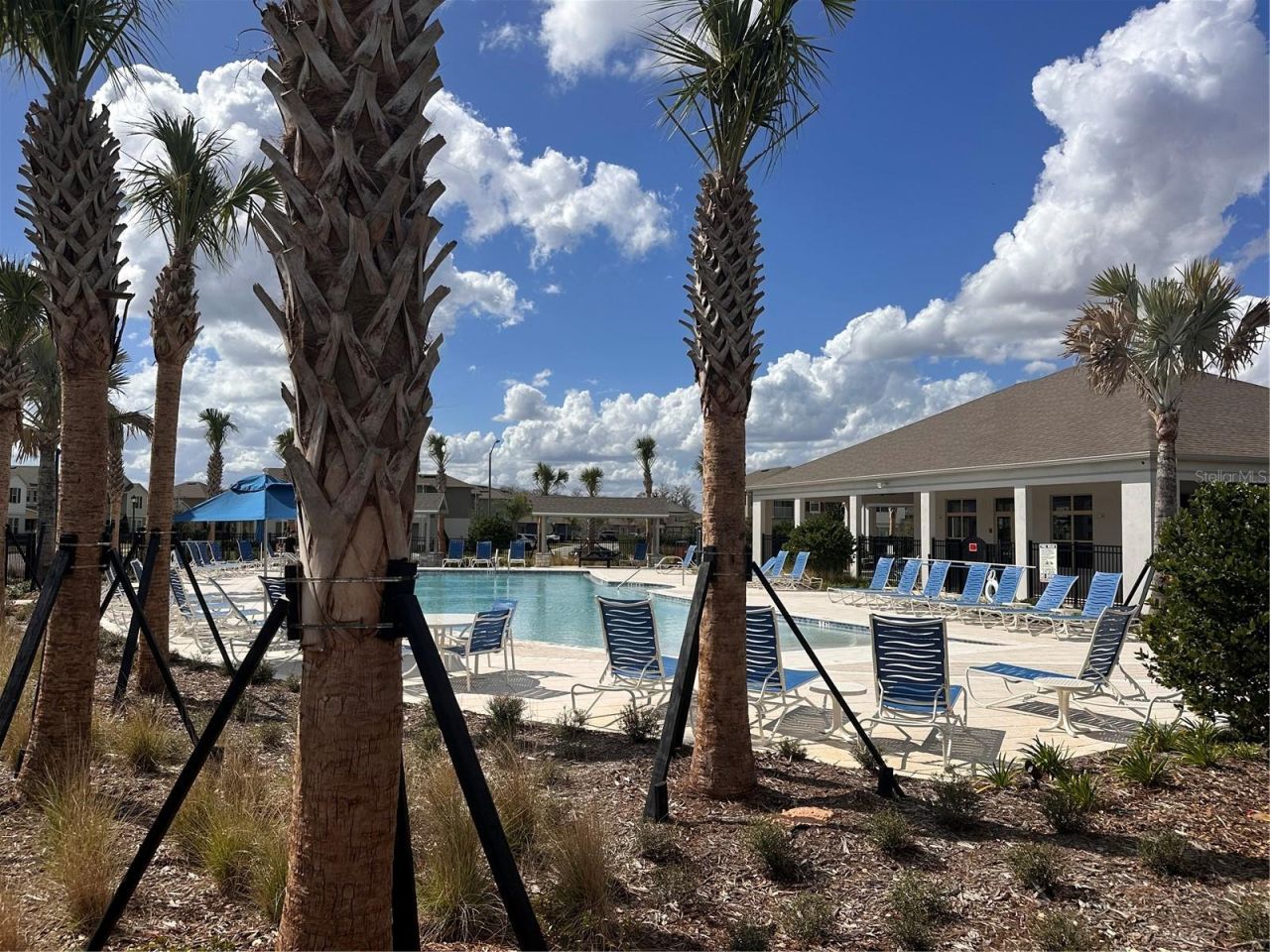 17069 Water Spring Boulevard , Winter Garden, FL 34787 Photo