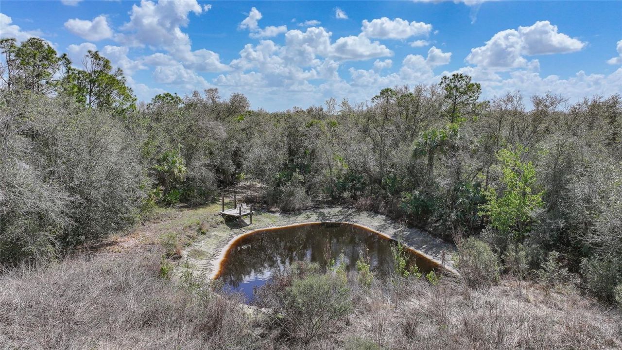 9796 SW Southern Dreams Road, Arcadia, FL 34269 Photo