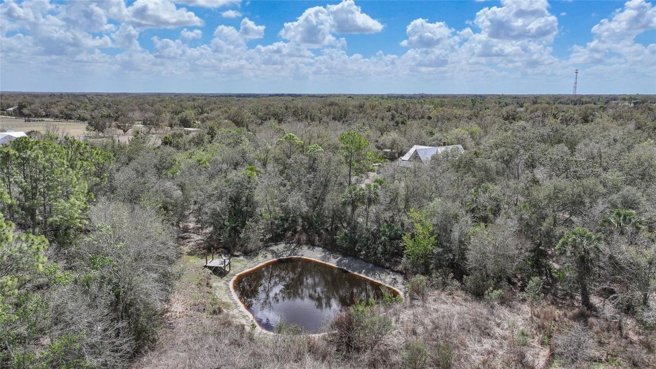 9796 SW Southern Dreams Road, Arcadia, FL 34269 Photo