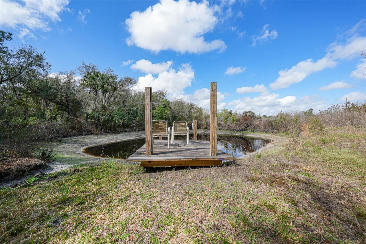 9796 SW Southern Dreams Road, Arcadia, FL 34269 Photo