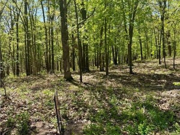 Cliff House Drive, Edwards, MO 65326