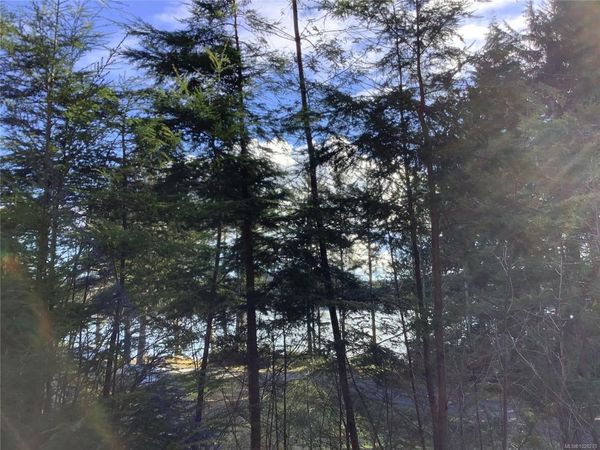 1 1st St , Sointula, BC V0N 3E0