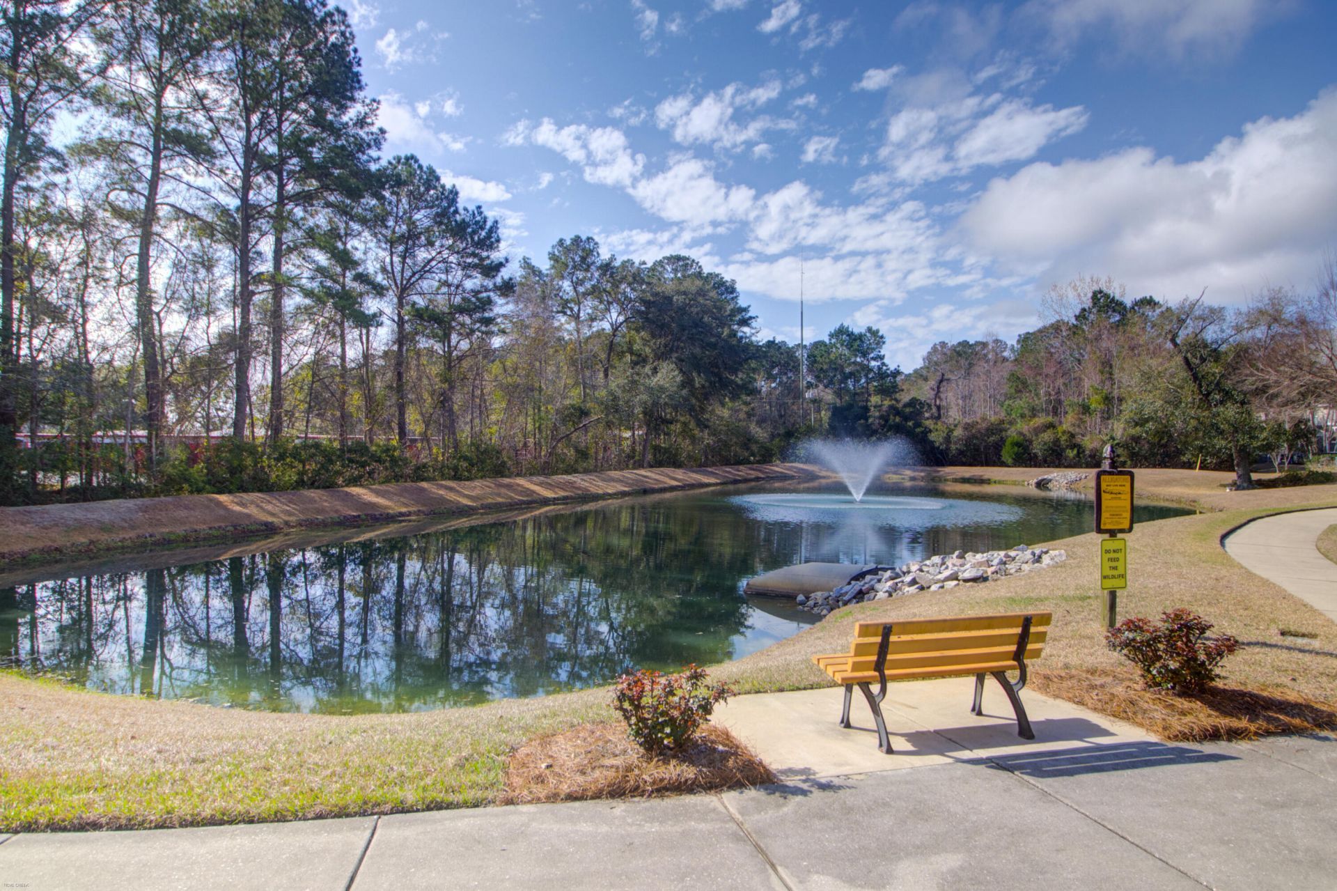 1219 Circle Oaks Drive Photo 42