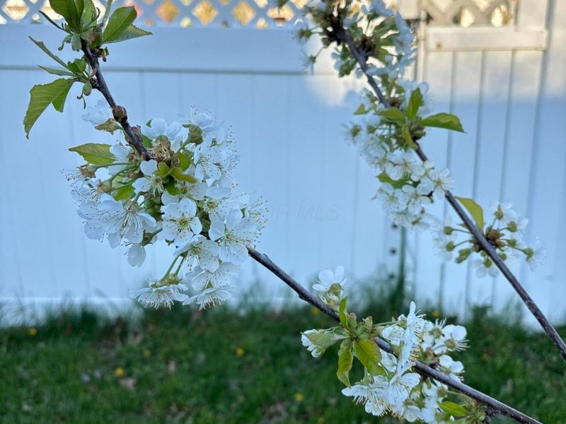 846 Executive Boulevard, Delaware, OH 43015 Photo 55