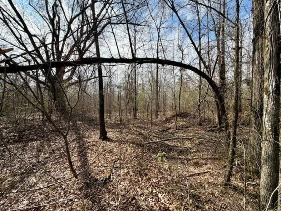 Property Image 18