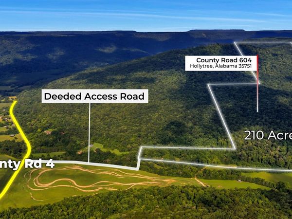 210 Acres County Road 604, Hollytree, AL 35751