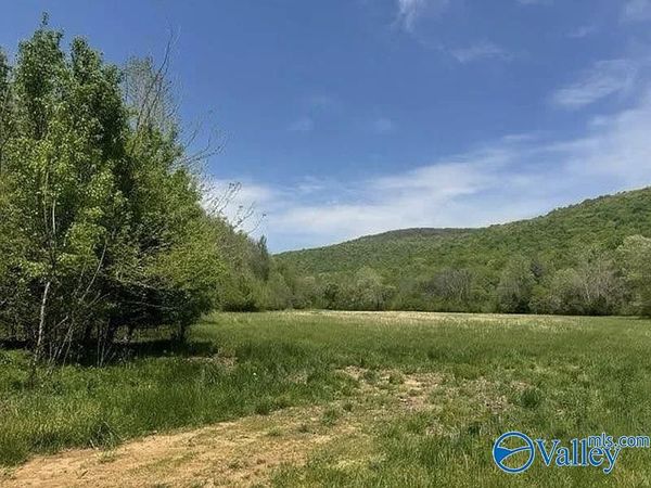210 Acres County Road 604, Hollytree, AL 35751