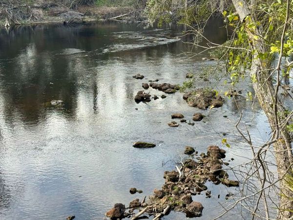 4661 NW 21ST PLACE, Jasper, FL 32052