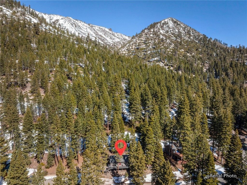 696 Bidwell Court, Incline Village, NV 89451 Photo