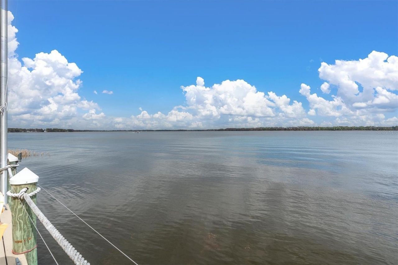 4650 Ridge View Road , Palm Harbor, FL 34684 Photo