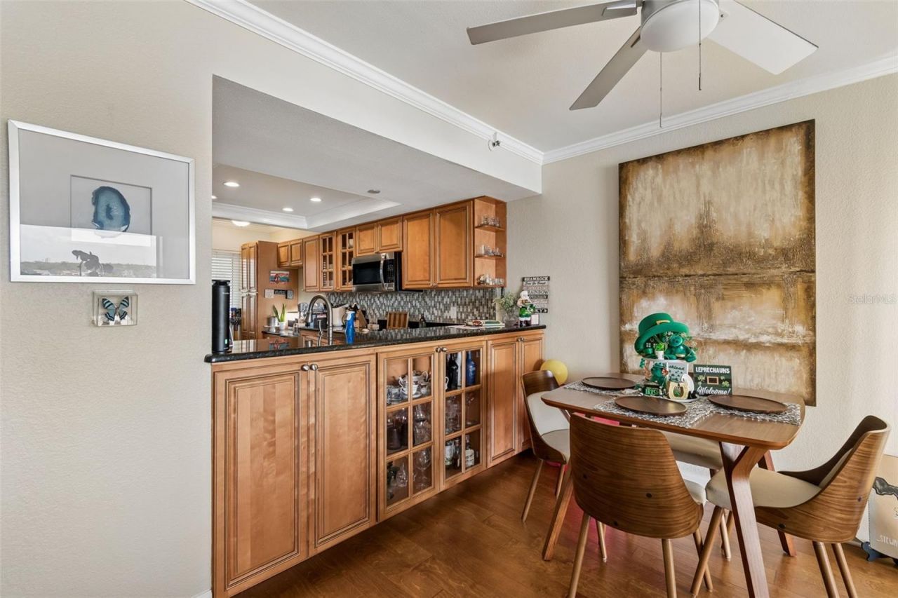2 Adalia Avenue, Unit 704, Tampa, FL 33606 Photo