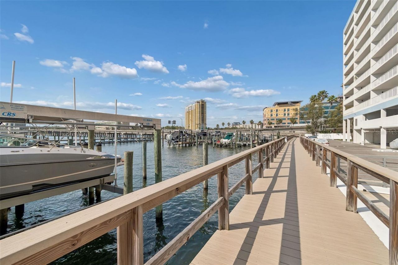 2 Adalia Avenue, Unit 704, Tampa, FL 33606 Photo