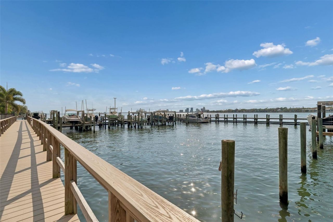 2 Adalia Avenue, Unit 704, Tampa, FL 33606 Photo
