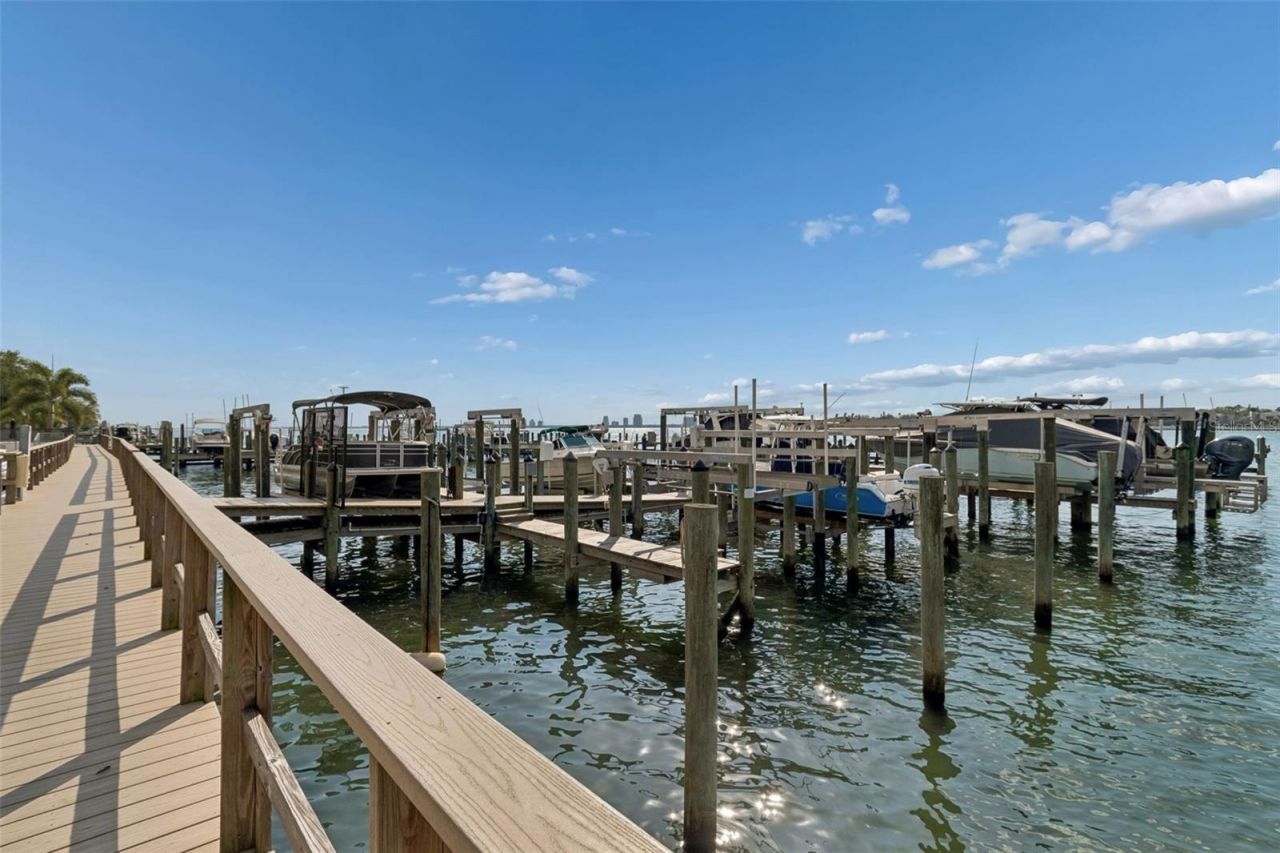 2 Adalia Avenue, Unit 704, Tampa, FL 33606 Photo