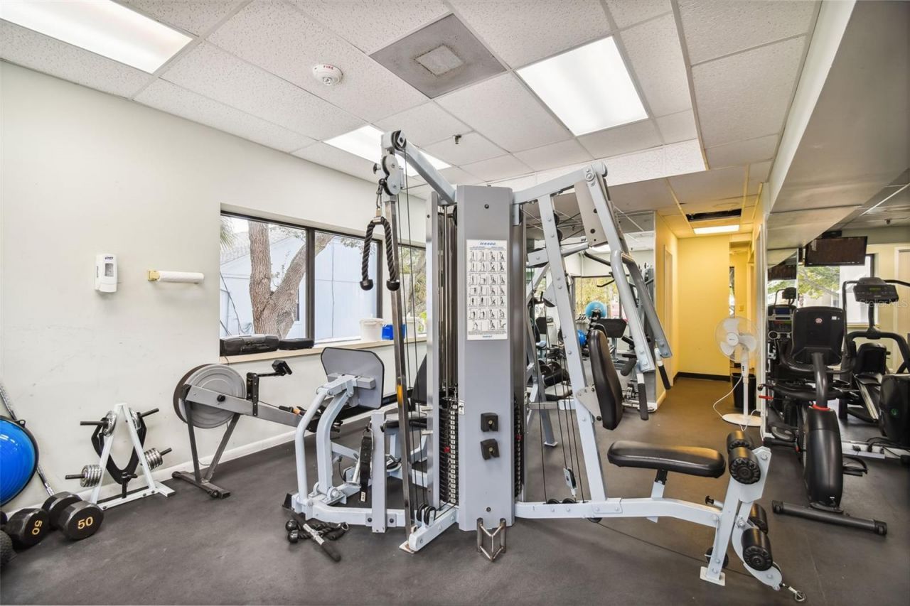 2 Adalia Avenue, Unit 704, Tampa, FL 33606 Photo