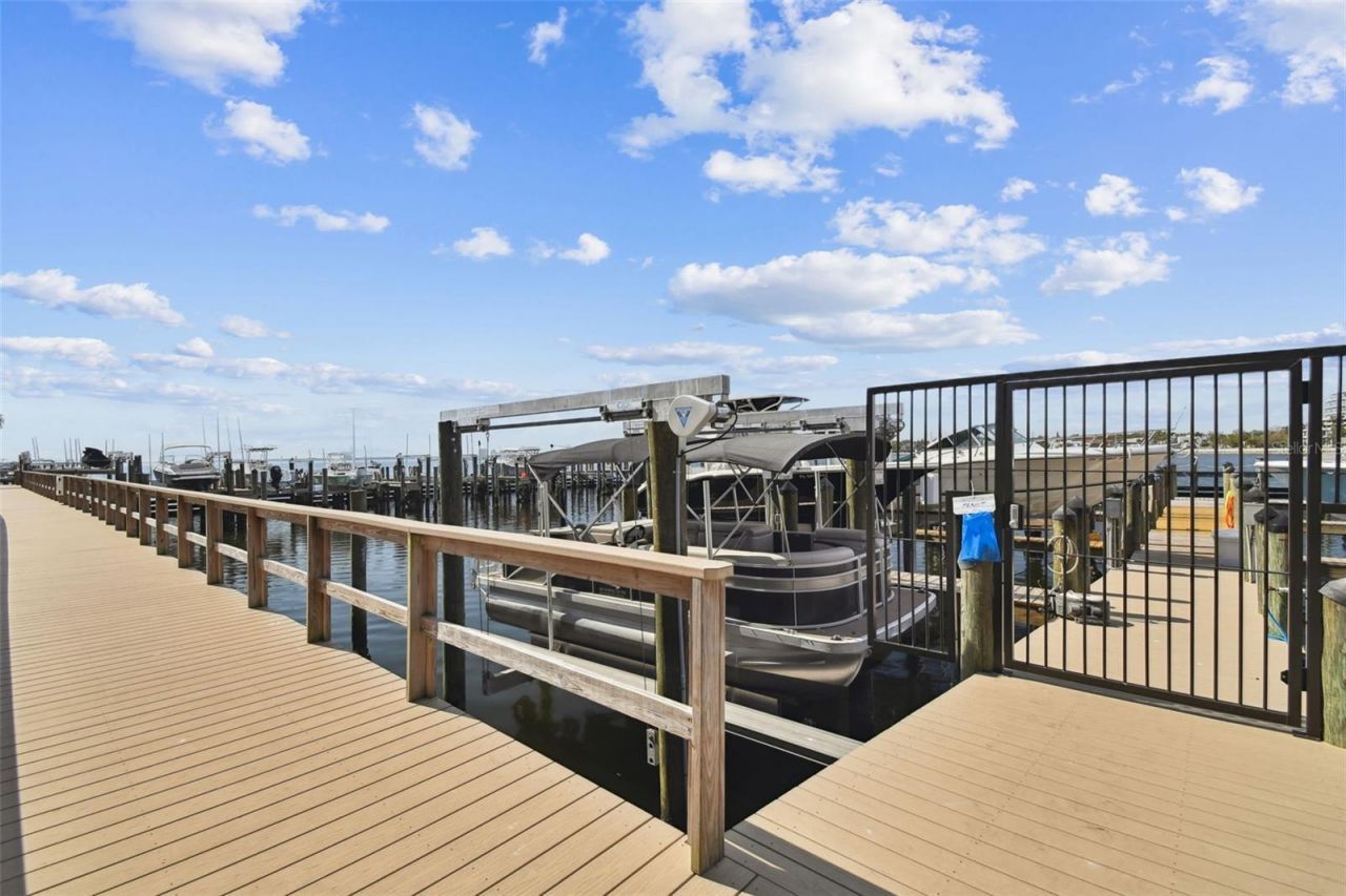 2 Adalia Avenue, Unit 704, Tampa, FL 33606 Photo