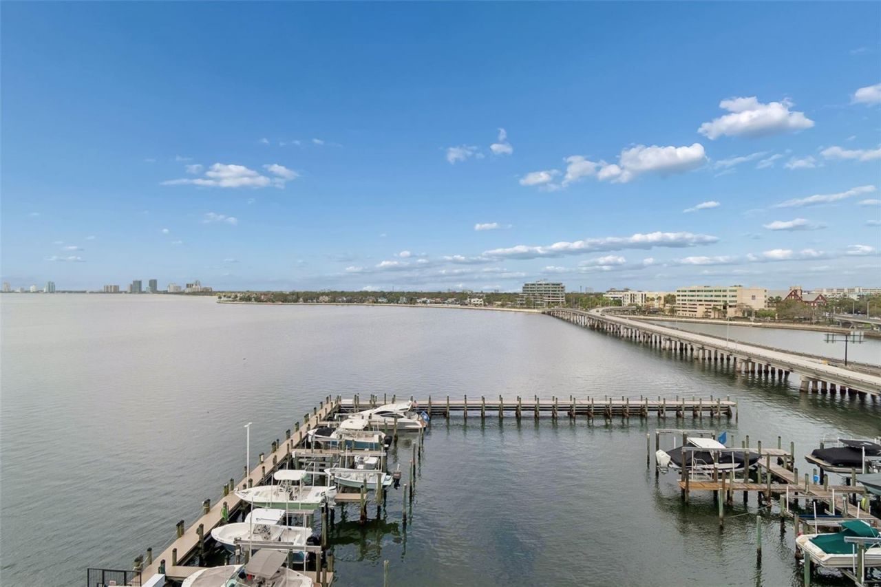 2 Adalia Avenue, Unit 704, Tampa, FL 33606 Photo